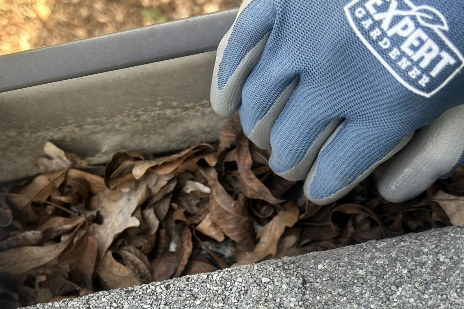 Gutter Cleaning Mount Dora FL