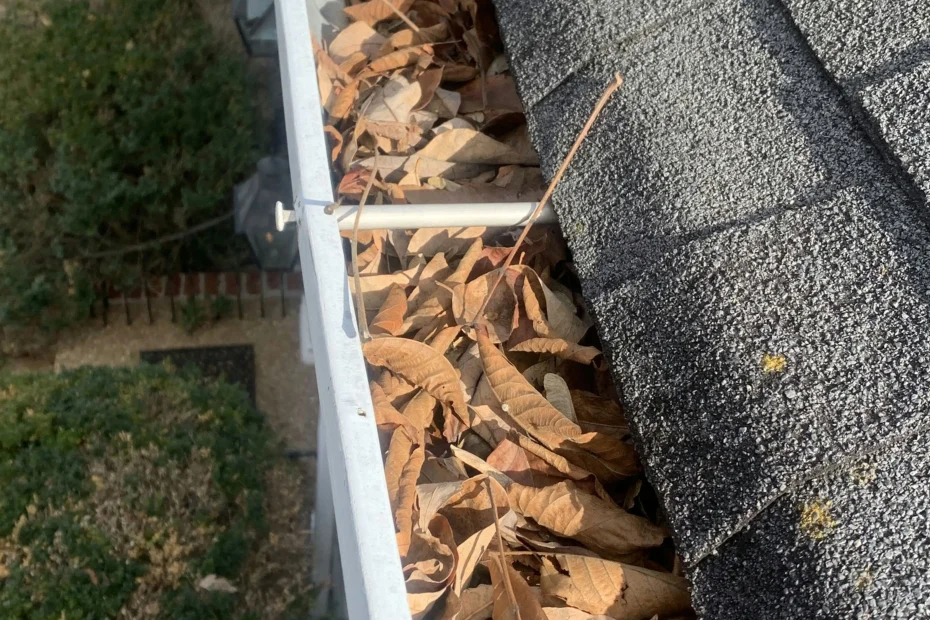 Gutter Cleaning Mount Dora FL