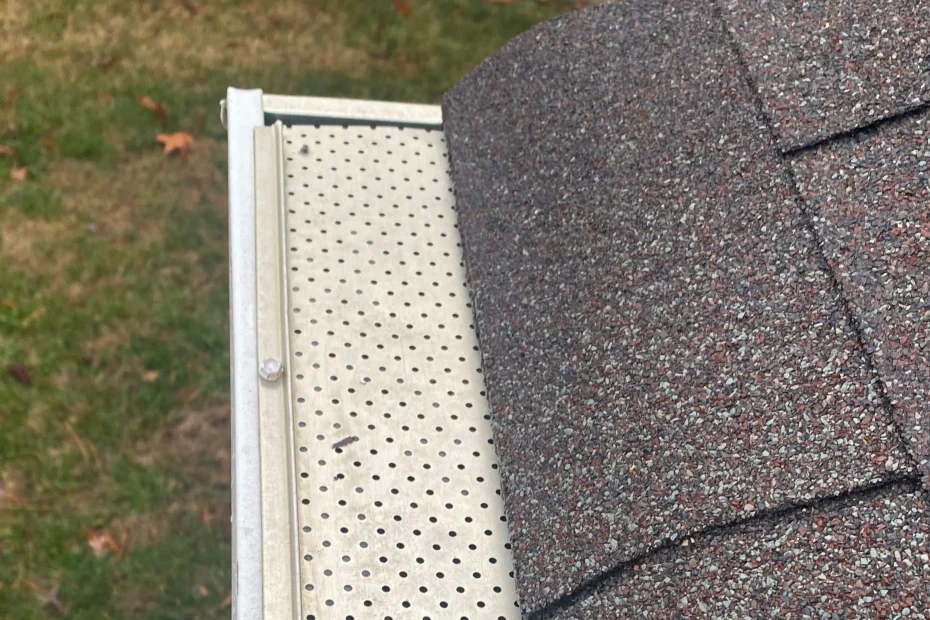 Gutter Cleaning Mount Dora FL