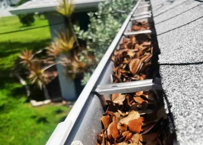 Gutter Cleaning Mount Dora FL home page